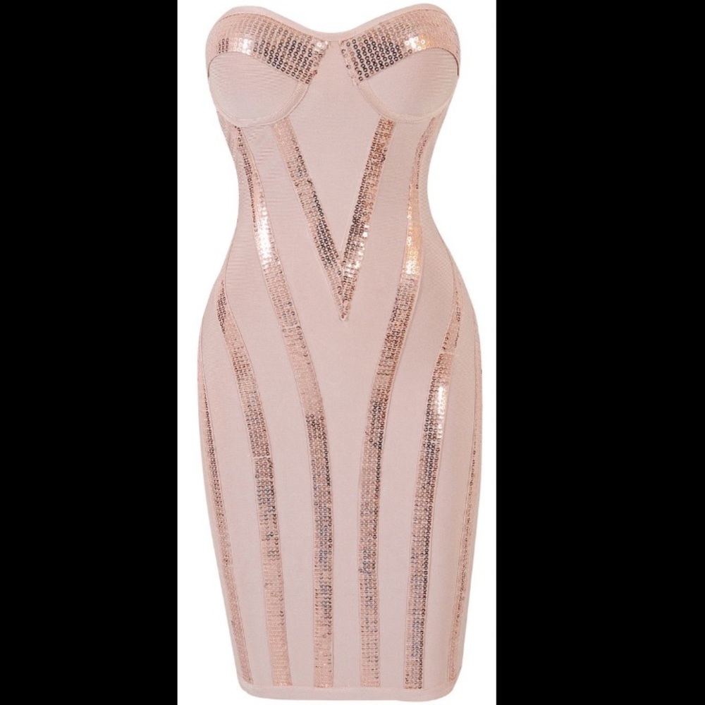 Celeb Boutique Bodycon Dress